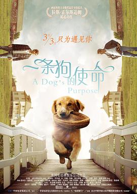 日前库珀透露，他正在紧锣密鼓地筹备一部以克里斯·凯尔为主角的影片，讲述这位海豹突击队神枪手的传奇故事。