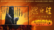 那么，续集电影如何才能打破这一魔咒？