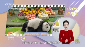 蒂尔达·斯文顿杂志写真 黑白照片尽显神秘高贵 2017-05-17 近日，曾获奥斯卡最佳女配的英国演员蒂尔达·斯文顿发布一组最新杂志写真。